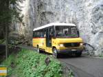 Postauto MB Vario 815D BE 92064. Aufgenommen am 29.05.2010 anl�sslich des Jubil�ums '80 Jahre Postautolinie Griesalp'
