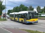 berlin Solaris Urbino als SEV f�r die Stra�enbahnlinie M17 zwischen Hohensch�nhausen Gehrenseestra�e und Lichtenberg Allee der Kosmonauten/Rhinstra�e an der Haltestelle Lichtenberg Landsberger Allee/Rhinstra�e.