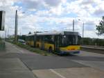 berlin Solaris Urbino als SEV f�r die Stra�enbahnlinie M17 zwischen Hohensch�nhausen Gehrenseestra�e und Lichtenberg Allee der Kosmonauten/Rhinstra�e nahe der Haltestelle Lichtenberg Rhinstra�e/G�rtnerstra�e.
