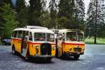 Berner Oberland 80 Jahre Postautostrecke auf die Griesalp: Schmid, Th�rishaus BE 26'760 Saurer/Gangloff (ex Geiger, Adelboden Nr. 3) und BE 26'105 Saurer/R&J (ex Geiger, Adelboden Nr. 9) am 29. Mai 2010 Kiental, Tschingel