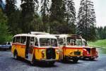 Berner Oberland 80 Jahre Postautostrecke auf die Griesalp: Schmid, Th�rishaus BE 26'760 Saurer/Gangloff (ex Geiger, Adelboden Nr. 3) und BE 26'105 Saurer/R&J (ex Geiger, Adelboden Nr. 9) und Gafner, Gwatt BE 26'724 Saurer/R&J (ex ASKA Aeschi Nr. 9) am 29. Mai 2010 Kiental, Tschingel