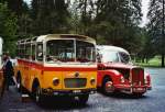 Berner Oberland 80 Jahre Postautostrecke auf die Griesalp: Schmid, Th�rishaus BE 26'105 Saurer/R&J (ex Geiger, Adelboden Nr. 9) und Gafner, Gwatt BE 26'724 Saurer/R&J (ex ASKA Aeschi Nr. 9) am 29. Mai 2010 Kiental, Tschingel