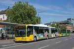 mercedes-benz-o-530-i-citaro Mercedes-Benz O530G in der Erdgas- und Diesel-Ausf�hrung am Lappan
