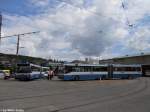 VBZ Nr. 590 + ...  Silvio Jenny 05.08.2010