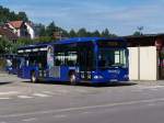 Citaro Nr 00441 am ...  Gilles LENHARD 11.08.2010