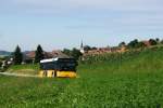Im Kanton Bern gibt es inzwischen diverse MAN-Standardbusse, die nach ...