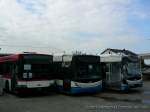 volvo-b7la--b10la Links der ehemalige Vorf�hrwagen (steht zum Verkauf) Volvo/Hess B7LA, rechts zwei f�r Z�rich besimmte Trolleybusse. Tag der offenen T�r bei Hess - 1.9.07