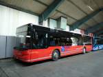 Neoplan N 44-Serie (Centroliner) (534 Fotos)