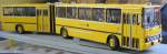 Ikarus Bild 3 von 3, 

Modell eines Ikarus 280.03 (�berlandgelenkbus 2 T�ren) im Ma�stab 1:20 (2006) Das Modell habe ich selbst gebaut. (ca. 400 Stunden) 
Es ist ein Nachbau vom:
KOM 7823812, Baujahr 1987, Kennz. RPU 9-51(ab 1992 MEI-AS 6)  unter MB 21-305, ge�ndert (vermutl. 1990) in 21-502, 53 Sipl/63Stpl
Im Einsatz seit 1987 beim VEB Kraftverkehr Mei�en ab 1992 Verkehrsgesellschaft Mei�en (VGM) bis 1995.
Er wurde vorwiegend auf der Linie 400 Spitzgrund – Friedewald eingesetzt.
