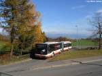 Zimmerbergbus/Bamert SZ 40170 (MAN ...  Silvio Jenny 09.11.2010