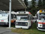 Mus�e Bus: Nr. 32 ...  Markus Doyon 24.12.2010