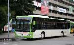 Schlienz (ES N 236).
Aufgenommen ...  Manuel H.  10.02.2011