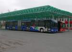 VZO-Mercedes Citaro NR.105 im ...  kai brunner 17.02.2011