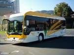Saint-Di� (F): EvoBus MB ...  Sylvain Marcilly 22.11.2007