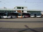 Drei Citaro der 1. ...  Daniel Oster 06.04.2011