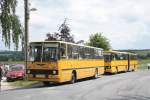 Anl�sslich des 2. Ikarus ...  Felix Henkel 29.05.2011