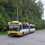 NAW-Hess Trolleybus ...  Markus Hugentobler 05.06.2011