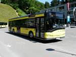 Landbus ( Alle ) (41 Fotos)