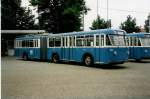Aus dem Archiv: VBZ ...  Markus Doyon 14.08.2011