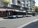 Die ZVB-Midibusflotte mit dem ...  Silvio Jenny 22.08.2011