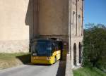 RizziBus alle Typen (8 Fotos)