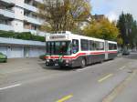 NAW-Hess Nr. 245 als ...  Simon B�tikofer 21.10.2011