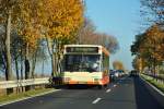 MAN Stadtbus auf einer ...  Rolf Reinhardt 16.11.2011