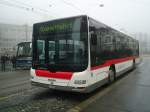 VBSG St. Gallen - ...  Markus Doyon 25.11.2011
