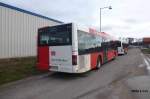 SB-RV 141 im DNA-Gel�nde ...  Markus Philipp 03.01.2012