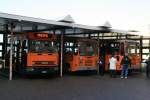 Hier stehen einmal alle ...  Andr� Breutel 13.02.2008