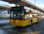 MAN Midibus (Niederflur) (155 Fotos)