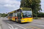 Mercedes Citaro mit der ...  Markus Wagner 19.01.2012