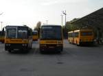 DZA-298 (Vol�nbusz Ikarus 260), ...  David Sardi 04.02.2012