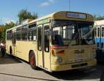 Fahrschulbus in F�rth   ...