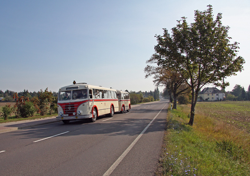 Zwischen dem Straenbahn-Depot Schkeuditz und dem Straenbahnmuseum Halle(Saale)bestand am 19.09.2009 ein Pendelverkehr mit historischen Bussen. Hier ist der Hallenser H6B im Schkeuditzer Ortsteil Wehlitz auf dem Weg nach Halle. 