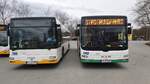 Z-VZ 176 RVW-8554 (MAN NL263) und Z-VZ 109 RVW-8559 (MAN A21 Lions City NL283) am 27.02.2020 in Zwickau auf dem Pausenplatz