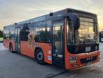 MAN Lion's City LE  der MVVG in Waren am 06.05.2024
