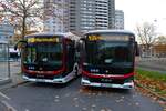 BSVG MAN eLions City Wagen 2529 und 2525 am 13.11.25 in Braunschweig Hauptbahnhof