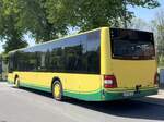 MAN Lion's City der Verkehrsgesellschaft Ludwigslust-Parchim mbH in Plau am See am 02.05.2024