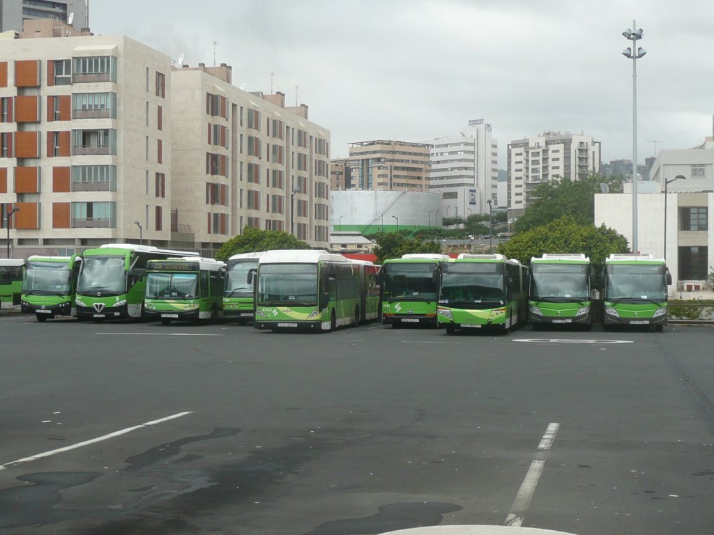 12.10.10,abgestellte TITSA-Busse am Busbahnhof Santa Cruz de Tenerife.