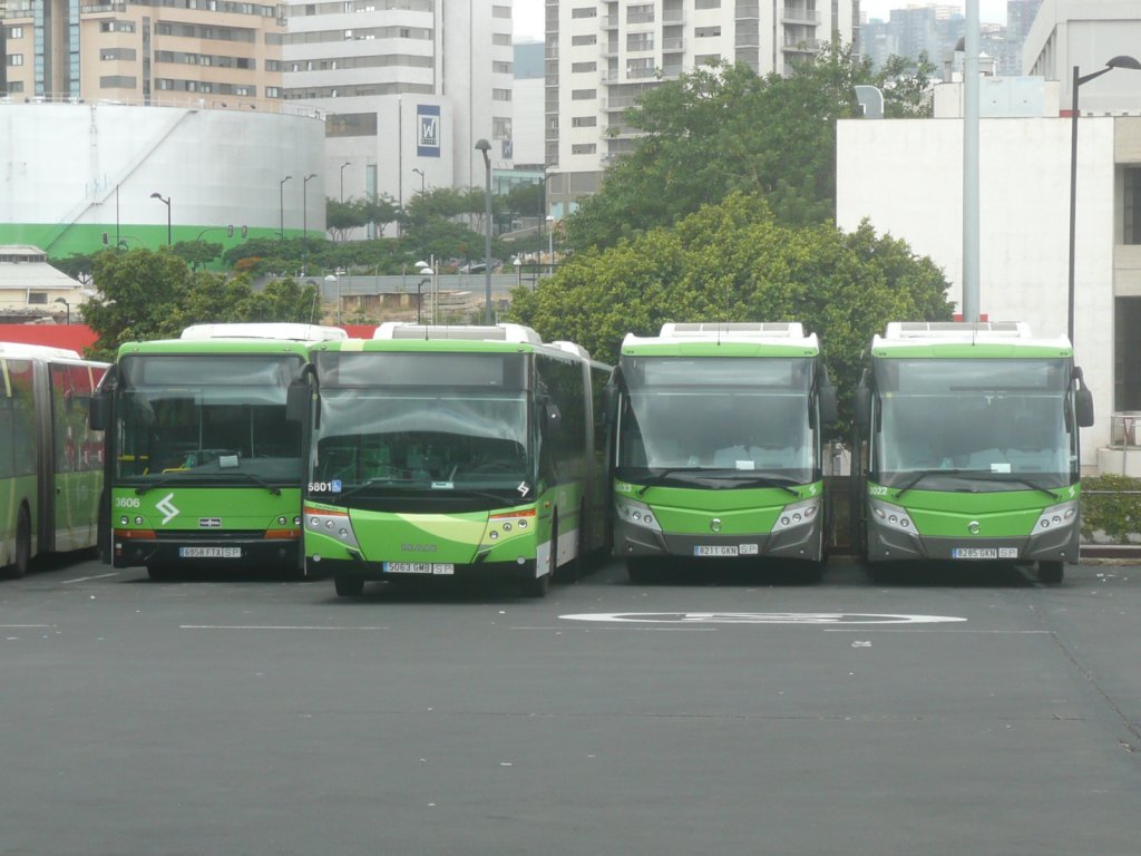 12.10.10,abgestellte TITSA-Busse am Busbahnhof Santa Cruz de Tenerife.