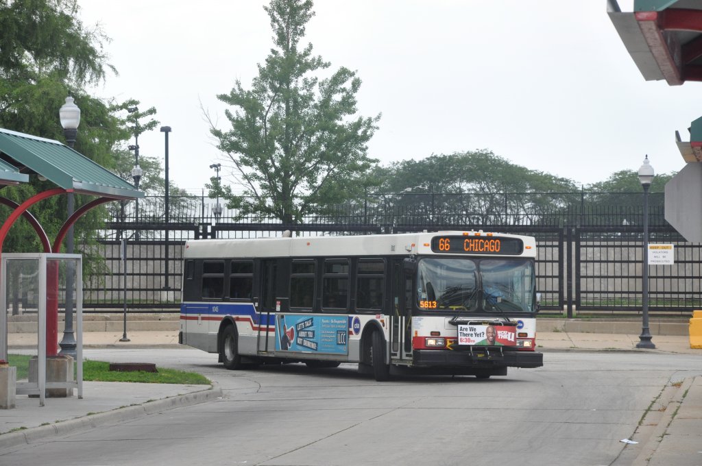 CTA, Chicago. New Flyer D40LF (Nr.1045) in Chicago, Navy Pier Terminal. (21.7.2013)