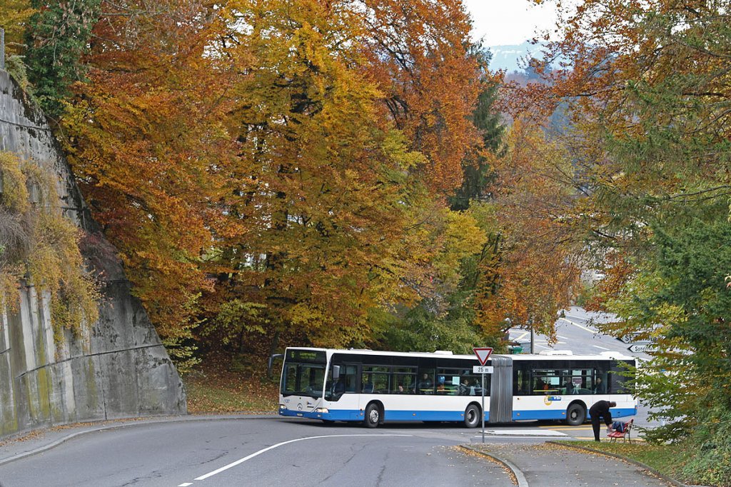 Der Mercedes-Benz O530G  Citaro  Nr. 137 befhrt am 31. Oktober 2010 die umgeleitet Linie 6 anlsslich des Lucerne Marathon, hier biegt er gerade in die Schlsslihalde ein.