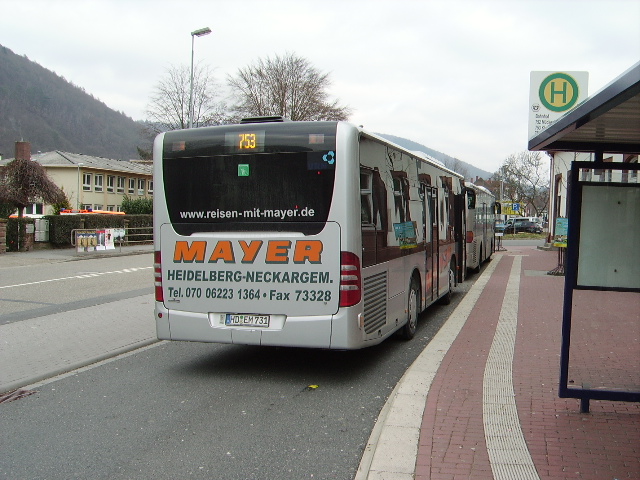 Die Citaro K von Mayer Reisen in Neckargemünd am 23.01.11 von hinten 