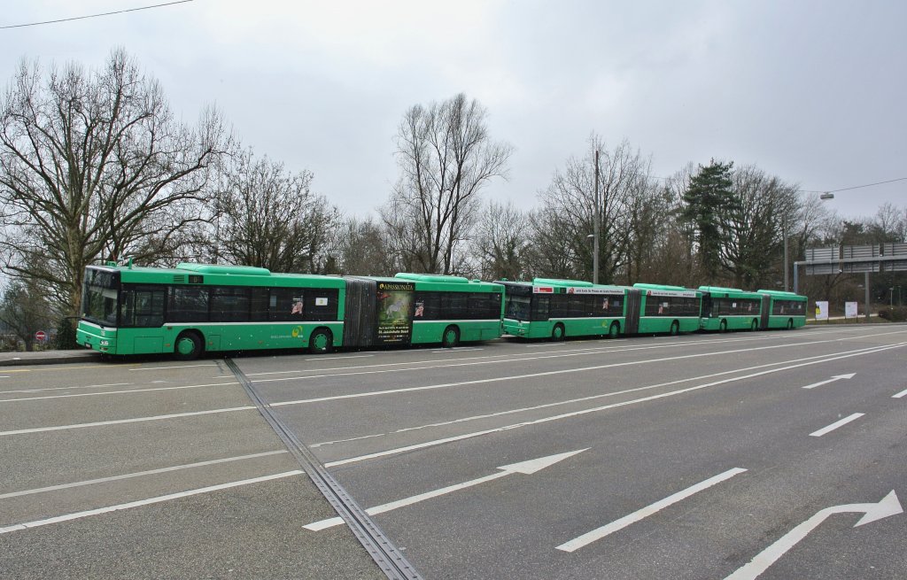 Drei BVB MAN Glenkbusse, 755+775+765, warten in der Nähe des Stadion St. Jakob Basel auf den nächsten Einsatz, 22.02.2013.