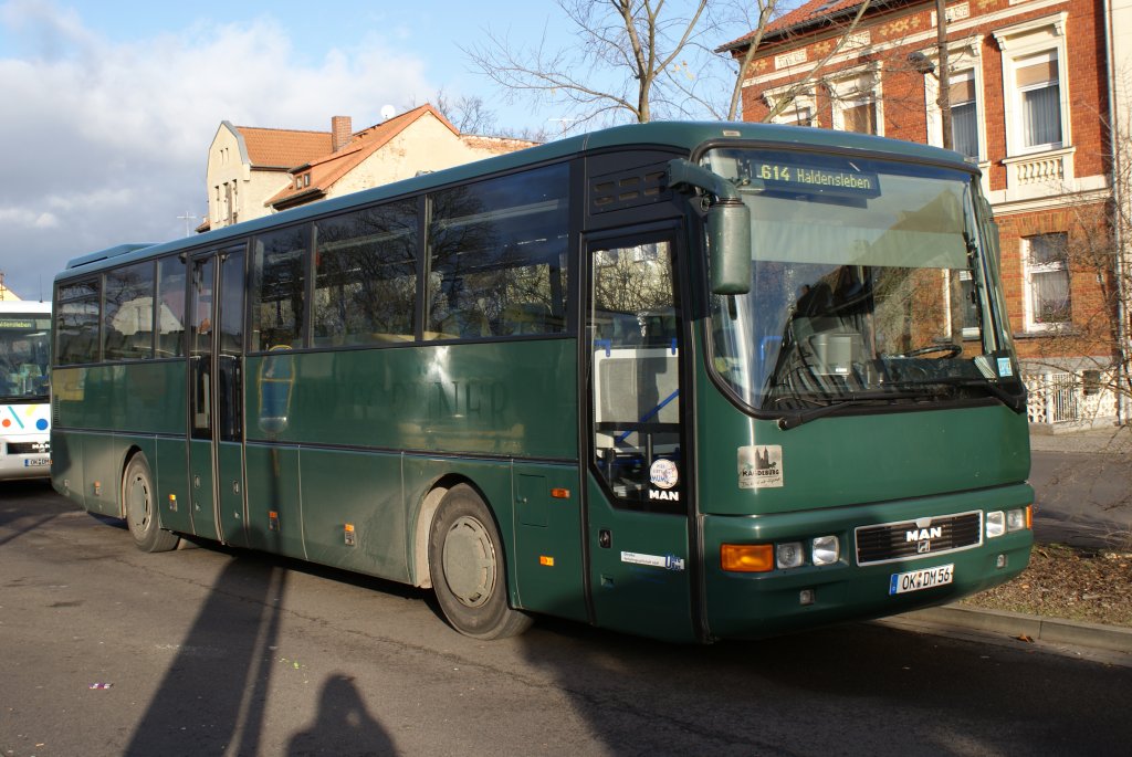 Ein Man Bus der  Ohre Bus Verkehrsgesellschaft mbH  stand am 23.11.2009 am Haldensleber ZOB und wartete auf neue Aufgaben.