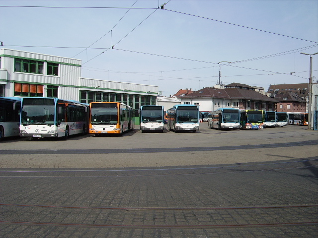 Ein paar Mercedes Benz Citaro am 03.04.11 in Heidelberg Betriebshof durch den Zaun fotografiert