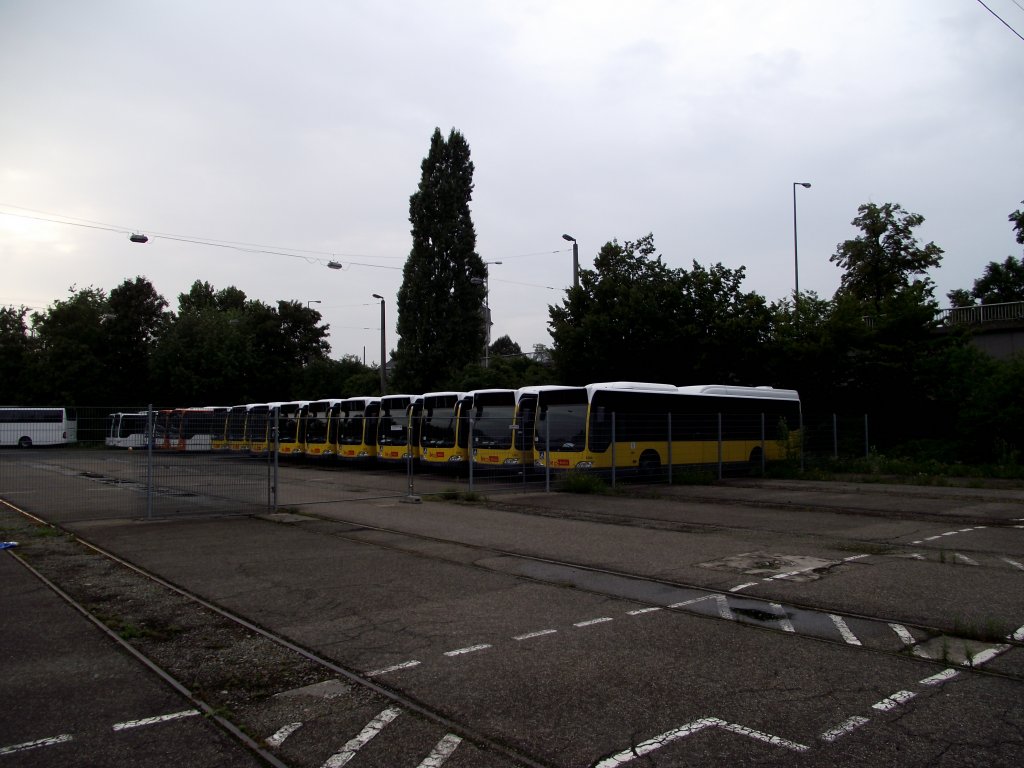 Ein paar neuer Mercedes Benz Citaro fr Berlin am 20.07.11 in Mannheim bei Evo Bus 