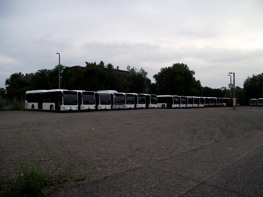 Ein sehr groe Mercedes Benz Citaro Parade in Mannheim am 20.07.11 durch den Zaun geknispt 