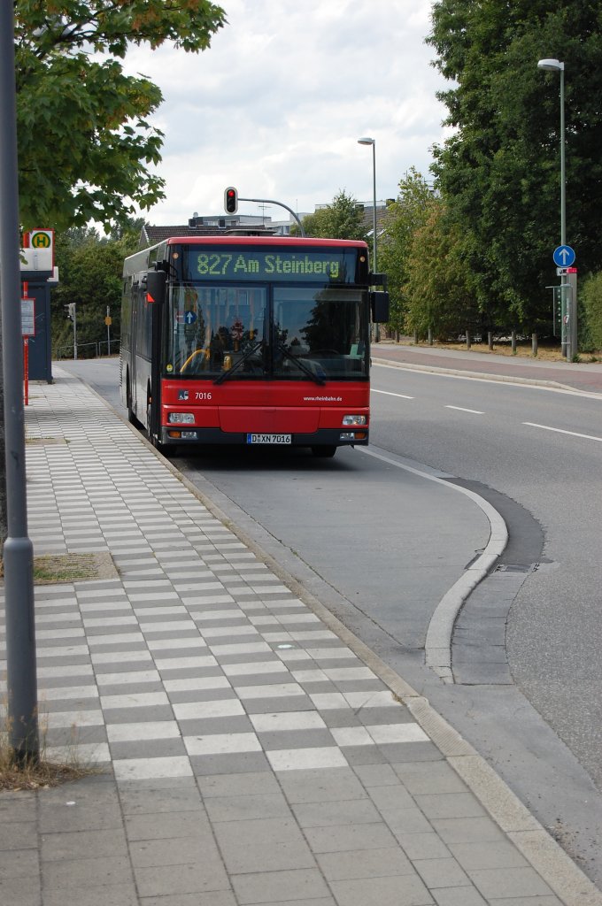 Endhaltestelle Neuss-Norf Mainstrae, der Wagen 7016 Rheinbahn steht hier einige Minuten um dann seine Fahrt auf der Linie 827 fort zu setzten. 17.7.2010
